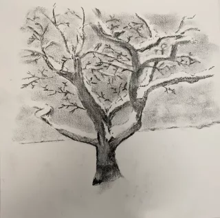 Travail d'élève – cours Dessin Froggy Art Lyon