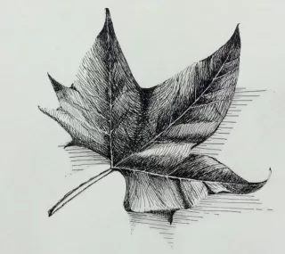 Travail d'élève – cours Dessin / Peinture Froggy Art Lyon