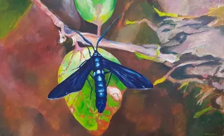 Travail d'élève – cours Dessin / Peinture / Modelage Froggy Art Lyon