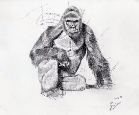 ANIMALIER (Dessin Peinture Modelage)