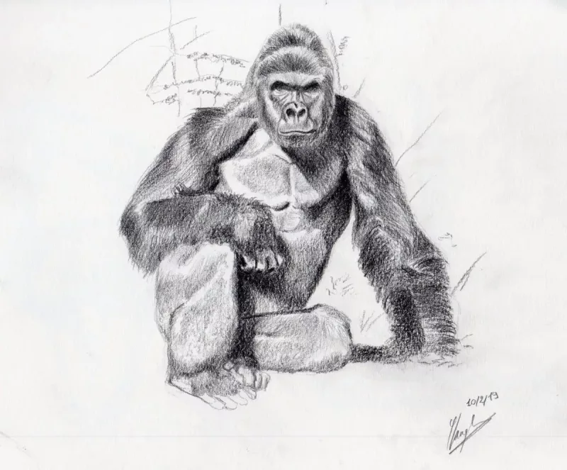 ANIMALIER (Dessin Peinture Modelage)