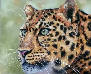Travail d'élève – cours Pastels Froggy Art Lyon