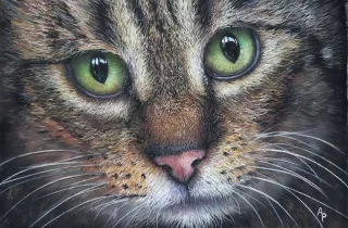 Travail d'élève – cours Pastels Froggy Art Lyon