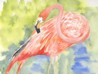 Travail d'élève – cours Aquarelle et Encres Froggy Art Lyon