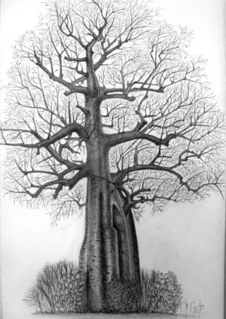 Travail d'élève – cours Dessin Froggy Art Lyon