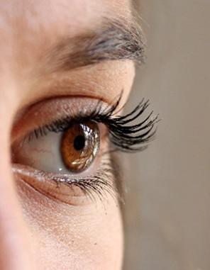 iris5 iris5