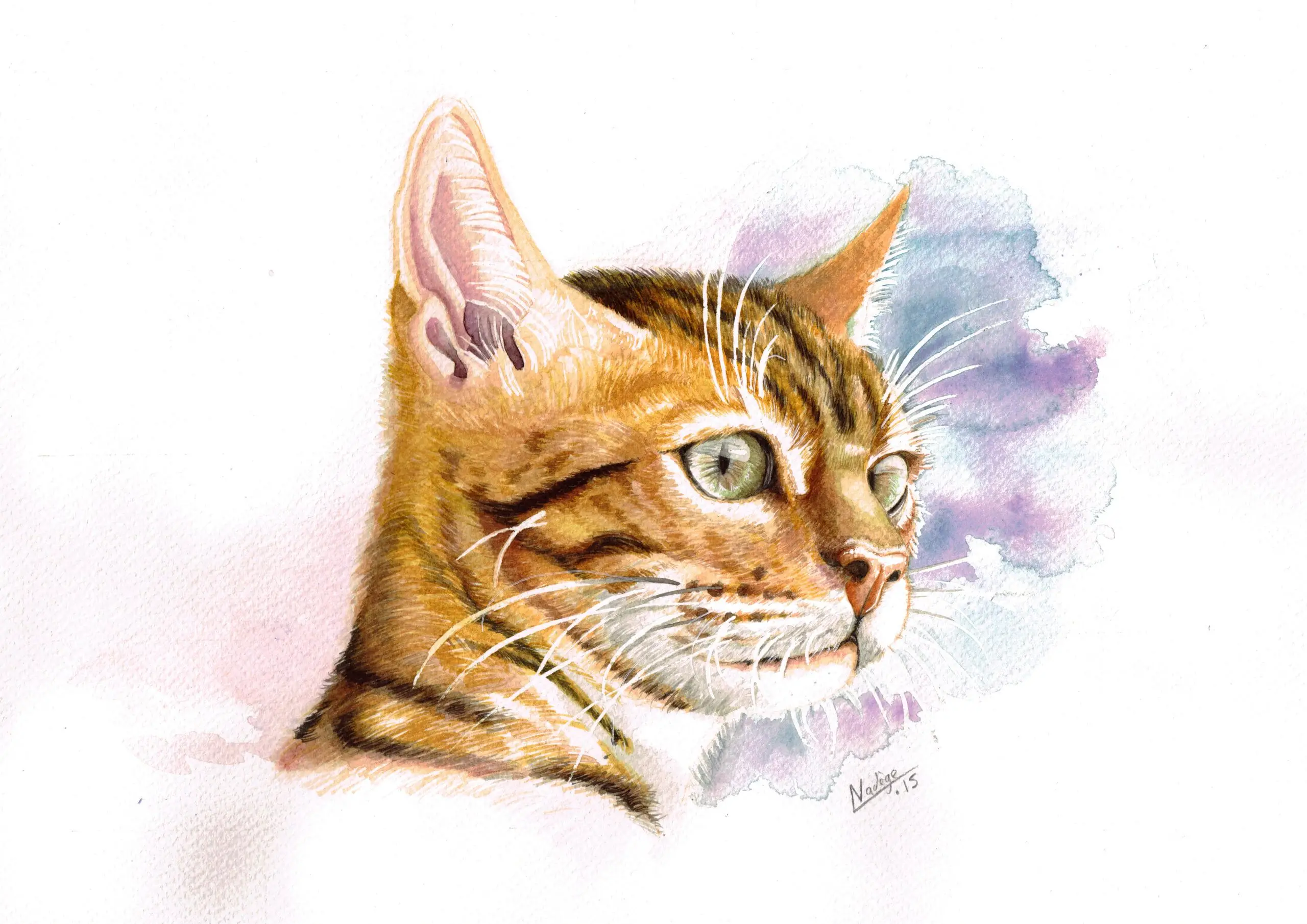 Dessin Aquarelle