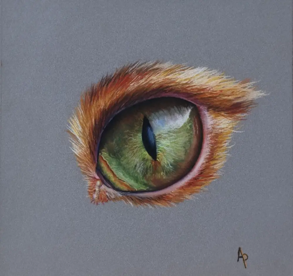 Stage PASTEL « Oeil de chat »- Froggy Art Lyon 6 – 06 juillet 2025 –