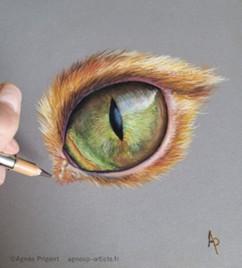 Stage PASTEL "Oeil et transparence"- Froggy Art Lyon 6 – 01 mars 2026 –